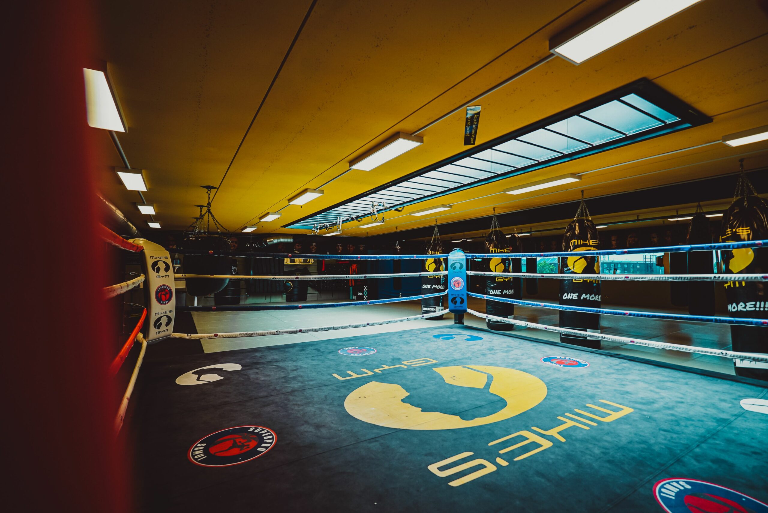 Mikes Gym Ring